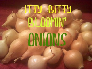 ~Itty Bitty Bloomin' Onions!