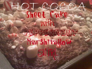 ~Hot Cocoa Sheet Cake..with Peppermint Marshmallow Swirl!